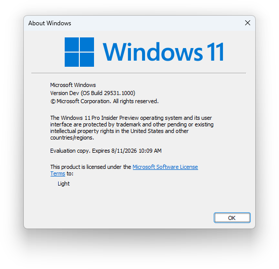 Windows 11 Canary 29531.1000 的 winver 截图