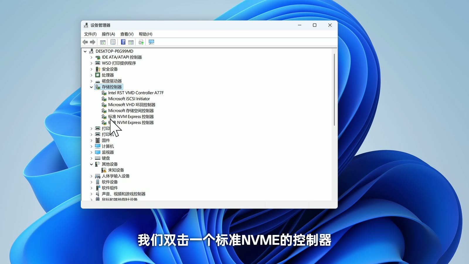 设备管理器检查 NVMe 控制器